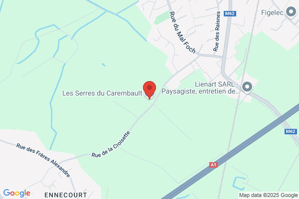 Carlier Freres Ste