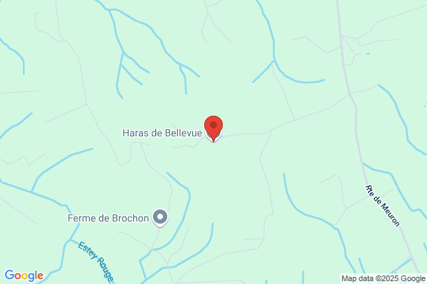 Haras De Bellevue