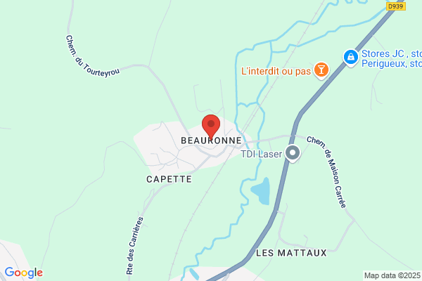 Dubraud Francette Taxi