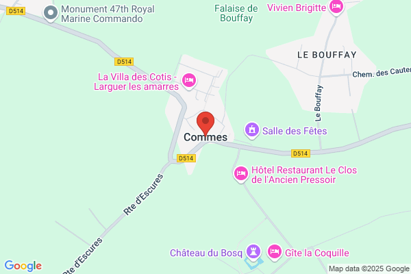 Commes Rene