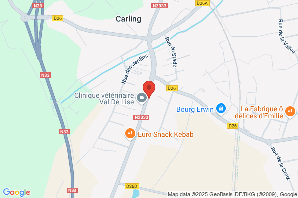 Cogerep