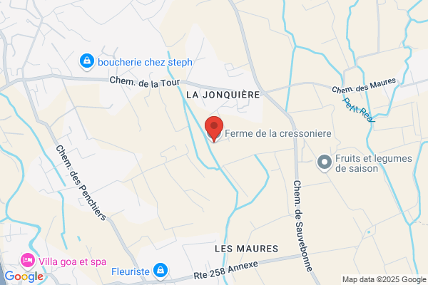 Domaine De La Cressonniere