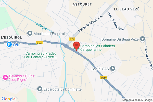Camping Les Palmiers