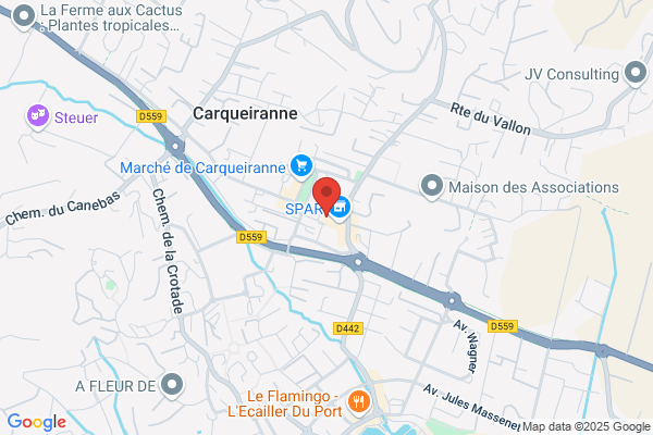 Carqueiranne Immobilier