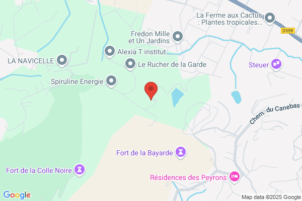 Centre Canin De La Colle Noire