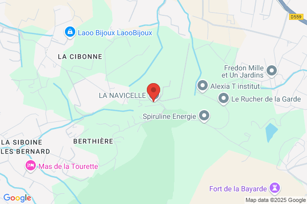Domaine De La Navicelle