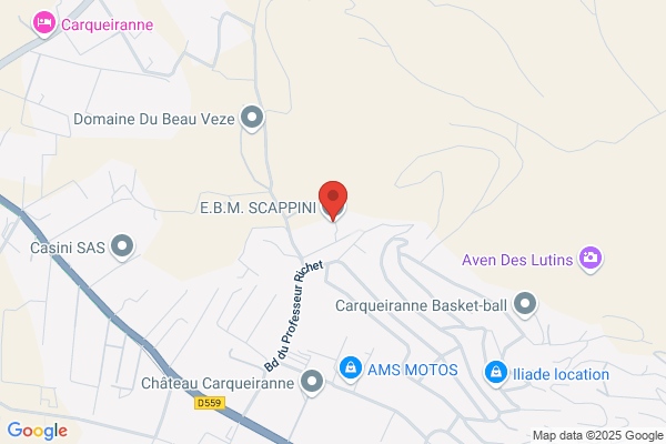 Ebm Scappini