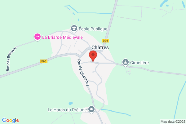 Comite Des Fetes