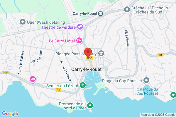 Agence Carry Elite
