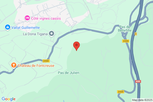 Domaine Couronne Charlemagne