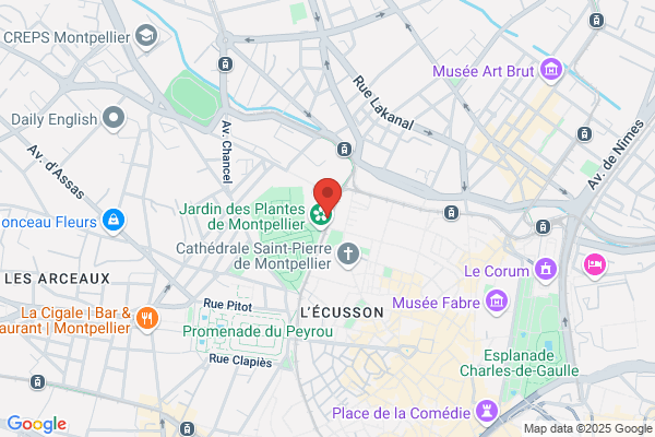 Croix Rouge Francaise Comite De Montpellier Social et Secourisme