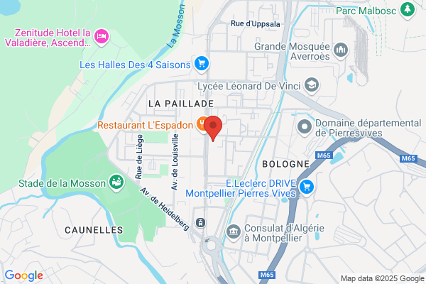 Defi Developpement Formation Et Insertion Transmission De Donnee