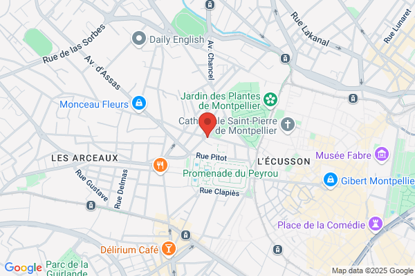 Gouron Michel