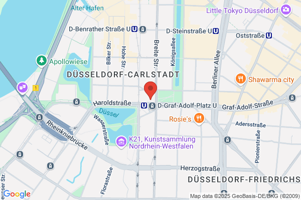 Hsd Ernst Et Young Standard