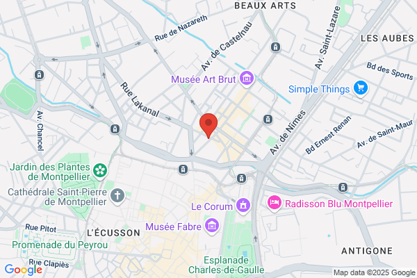 Ars Musica Montpellier