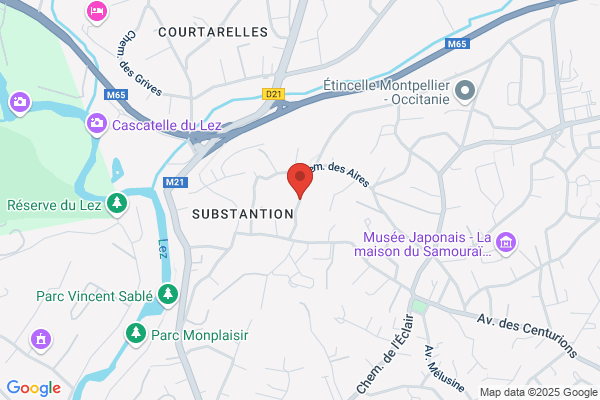 Association Les Peintres De Castelnau