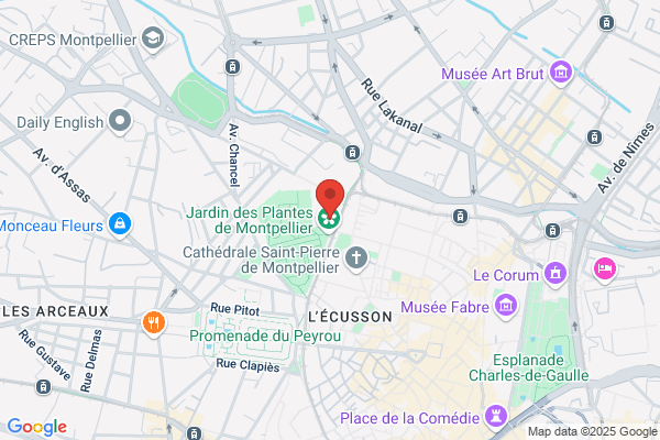 Carabine Montpellieraine Secretariat