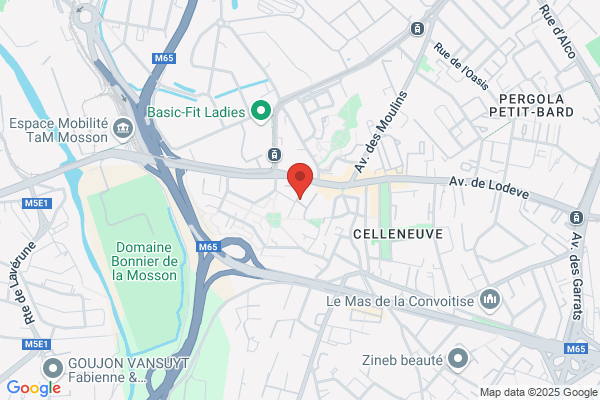 Expertises Galtier