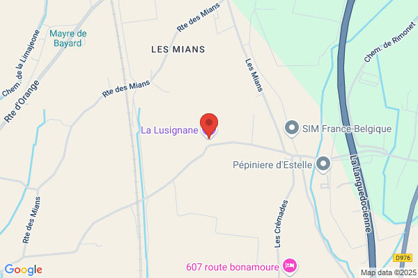 Bon Odile