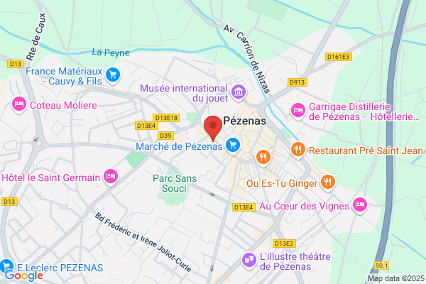 LA PASSION DES BIJOUX (LA PASSION DU TEMPS)