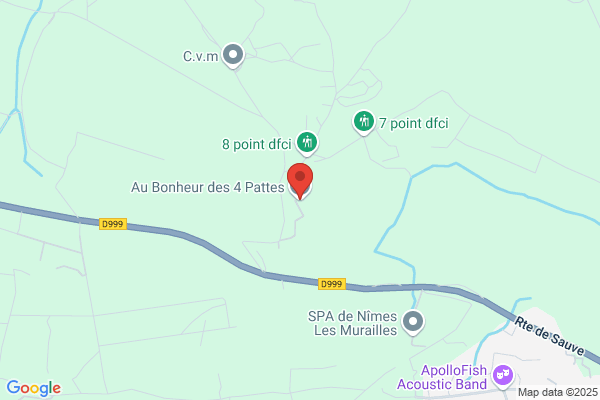 Au Bonheur Des 4 Pattes