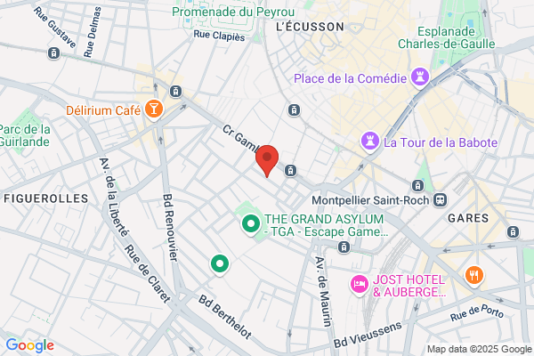 Dominique Chevalier Luthier