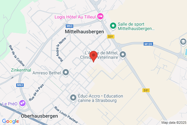 Ecoles Municipales Primaire Alphonse Daudet