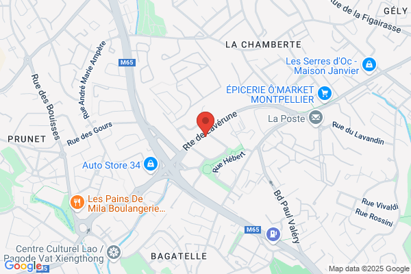 Geist2163 Groupe D Etude Pour L Insertion sociale Des trisomique