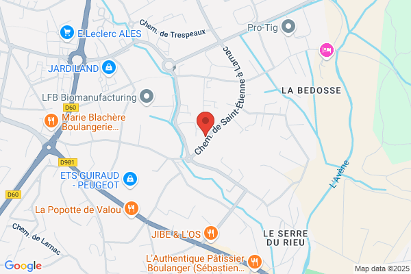 Inspection Du Travail Et De L Emploi