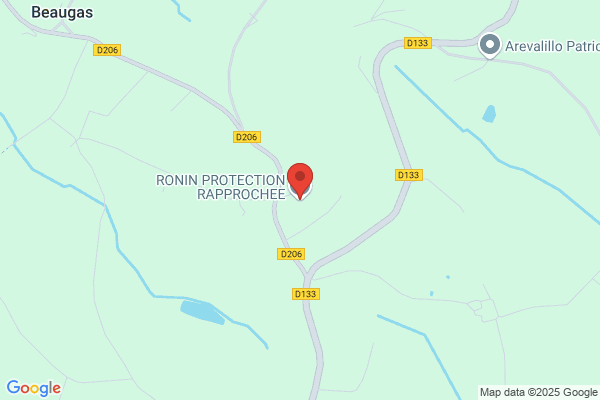 Agence Ronin