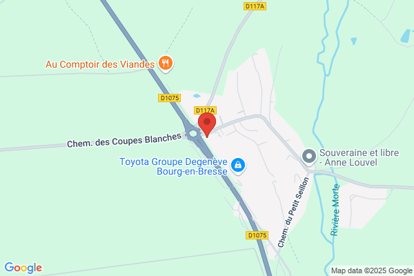 OBD Bourg en Bresse