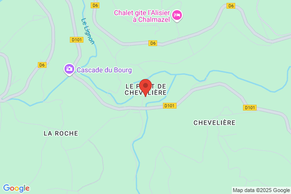 Bois Du Haut Forez-Reynaud Parois (Sdf)