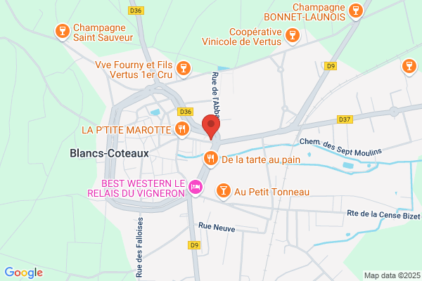 Entendre Xavier Debruille J M Mathias Audioprothesistes D e