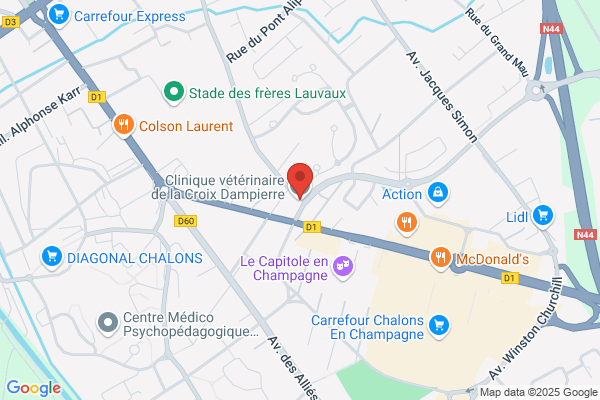 Clinique Veterinaire De La Croix Dampierre