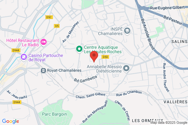 Comite D Auvergne De Lutte