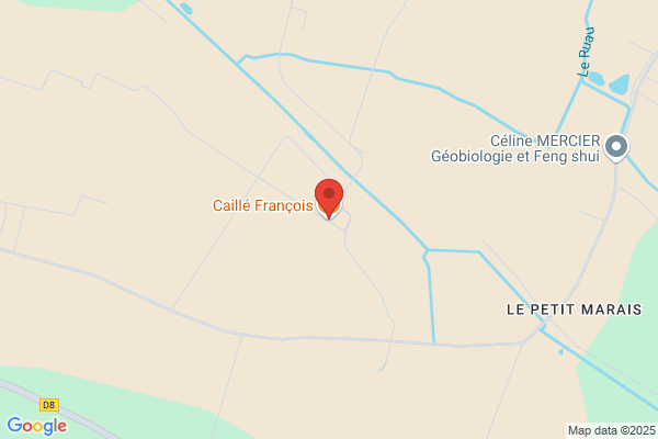 Caille Philippe
