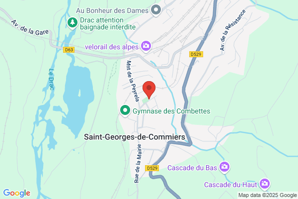 Gomert Georges Medecin