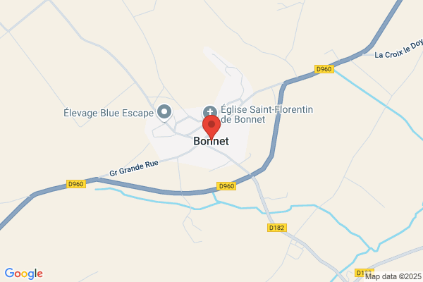 Bonnet Cse