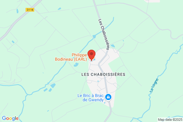 Bodineau Alain