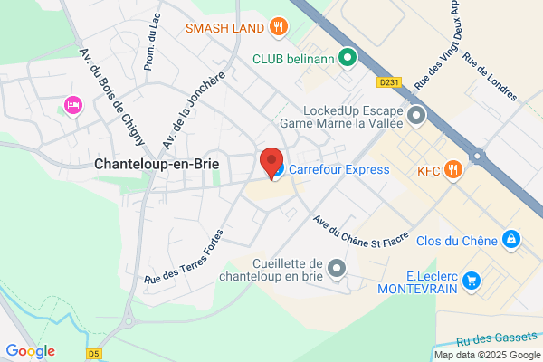 Pichet Immobilier