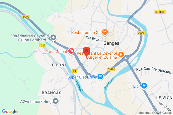 Caizergues Pierre
