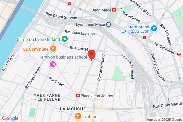 E M Lyon Junior Conseil