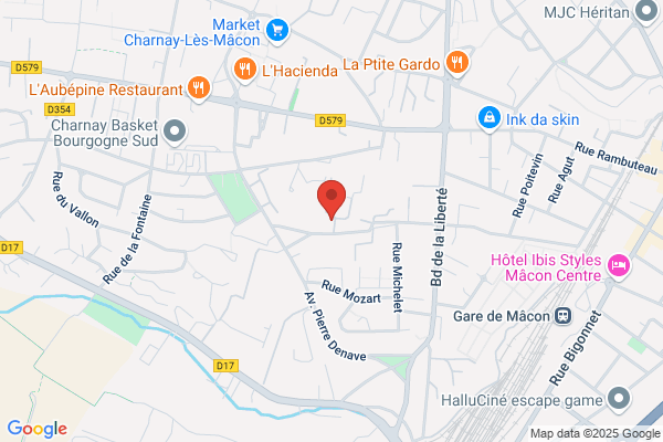 Institut P Chanay