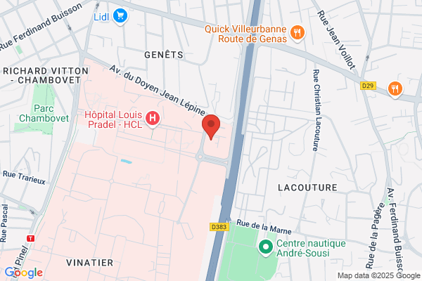 Hotel Ibis Lyon Bron Montchat