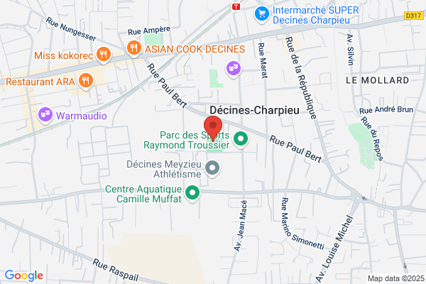 Csd Club Sportif De Decines Csd Comite Directeur
