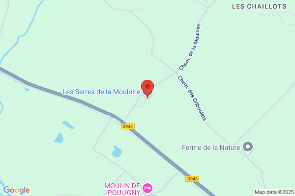 LES SERRES DE LA MOULOIRE