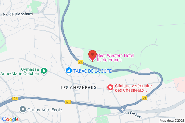 Best Western Hotel Ile de France