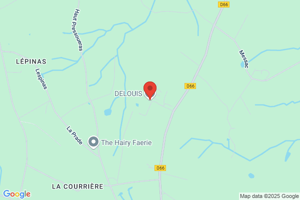 Diasse Louis