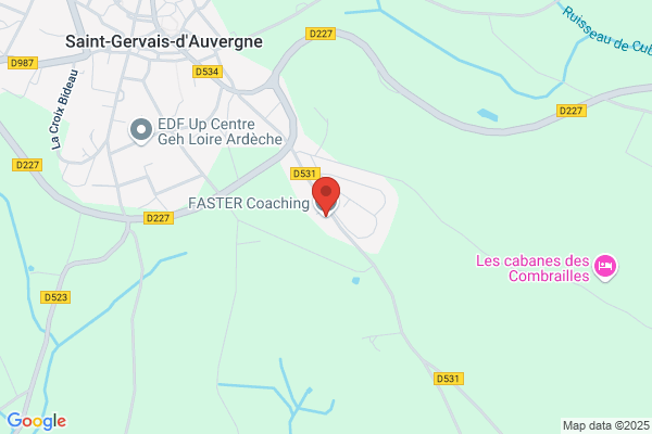 FASTER Coaching