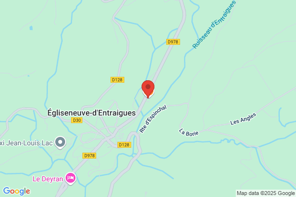 Allo Auto Dinguirard Taxi 4